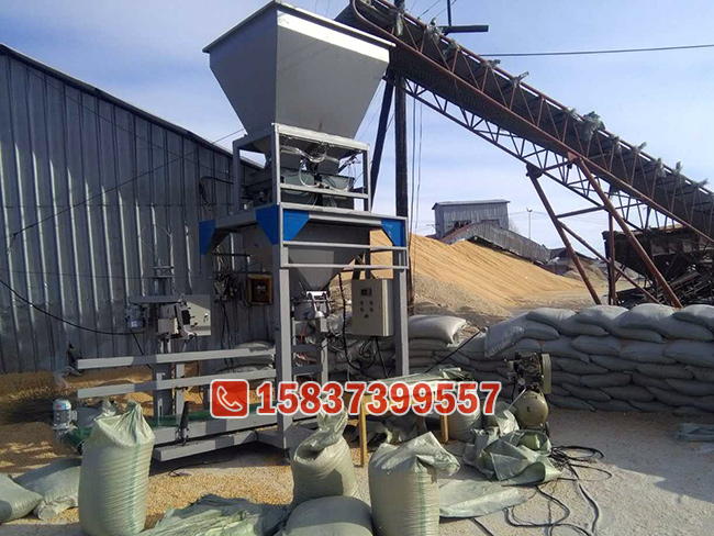 双秤粮食定量包装机